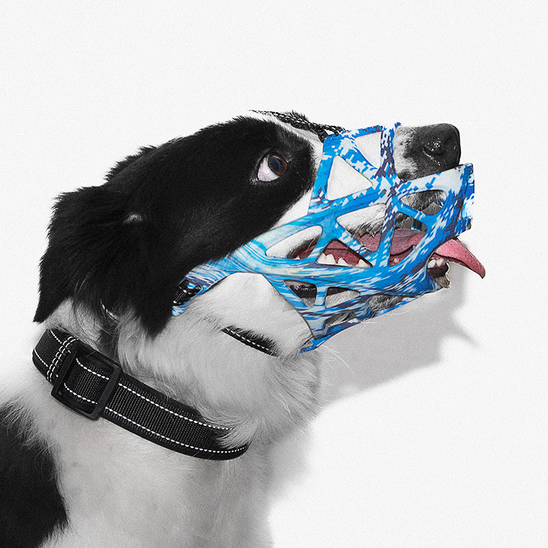 Pet products